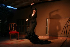 Flamenc-Carmen Fernández-Estudi de Dansa Laura Mestres